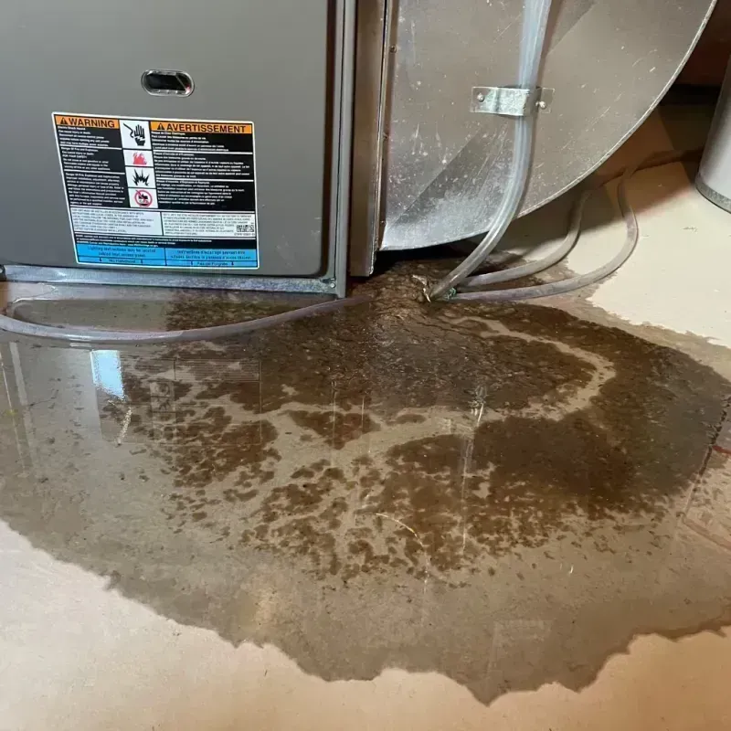 Appliance Leak Cleanup in Wasco, IL